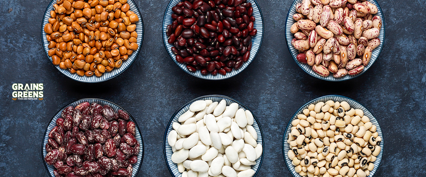 Pulses Pulses