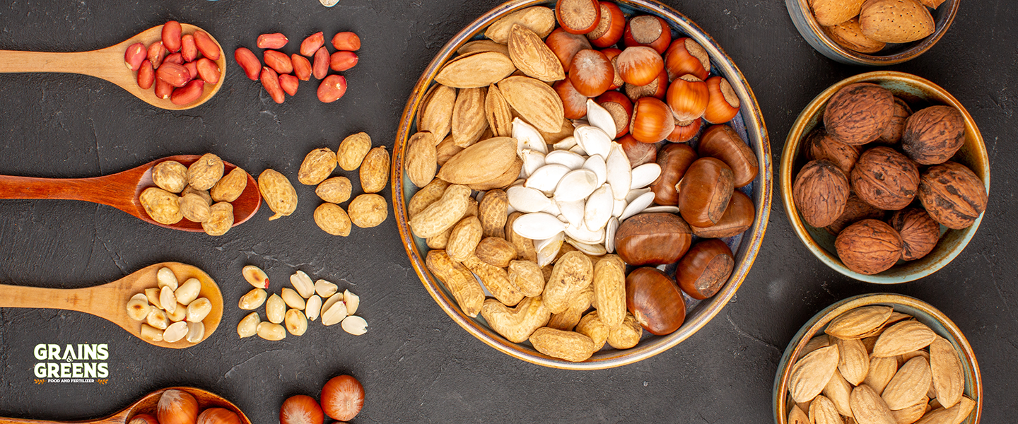 Dry Nuts Dry Nuts